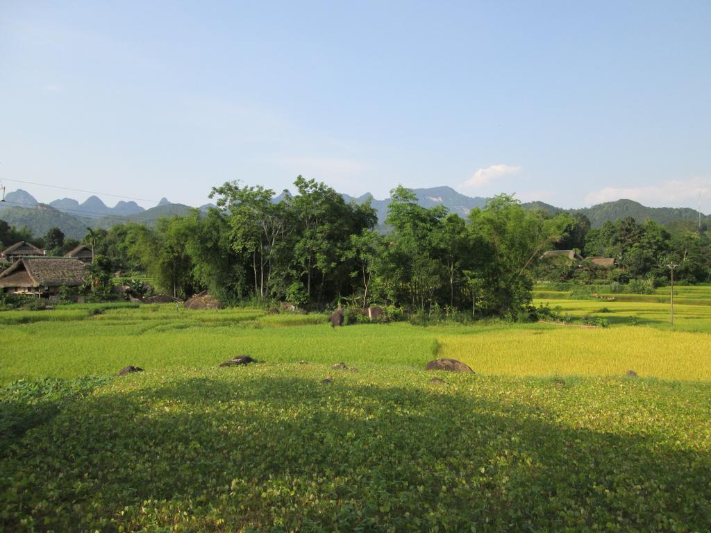 Dong Que Homestay-Tours-Motorbike, Car Rental, Hiking Ha Giang Exterior foto